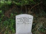 image of grave number 57156